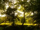 Garten Sonnenuntergang